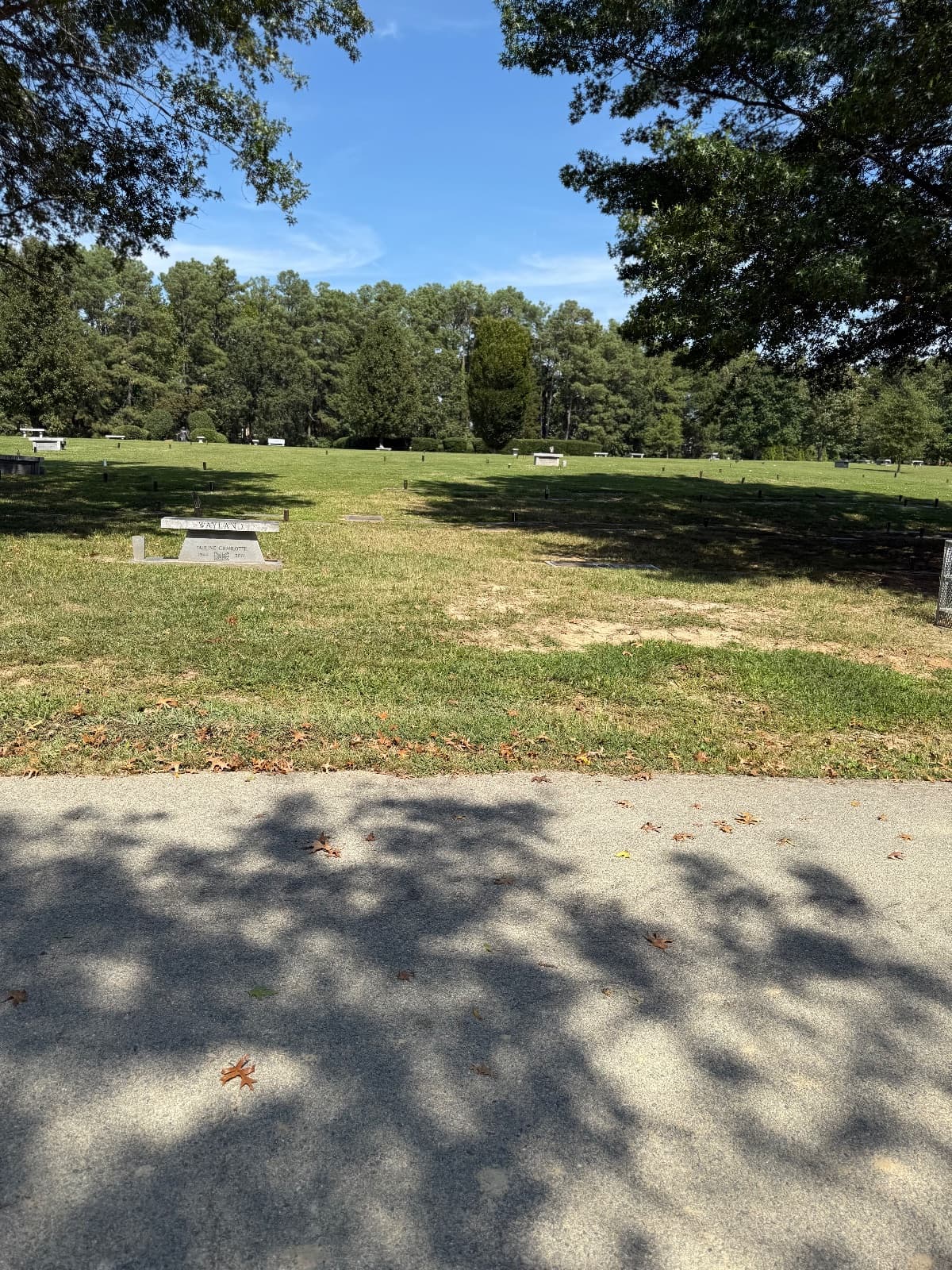 Single plot at Westhampton Memorial & Cremation Park